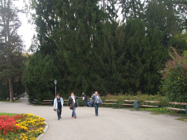 stadtparkaufdersuchenachkepler.jpg