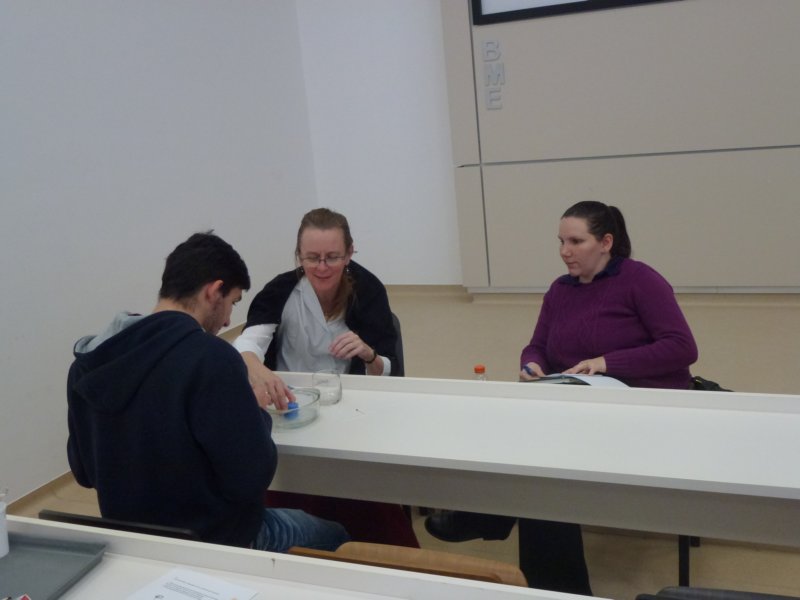 p1030353.jpg